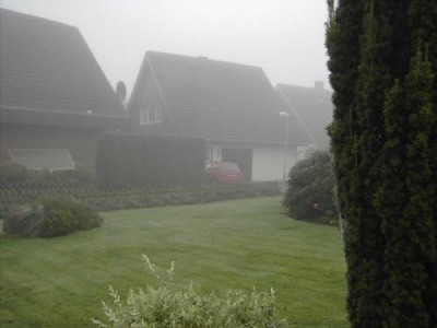 fog anyone? sandra's parents front yard in Hemmerden